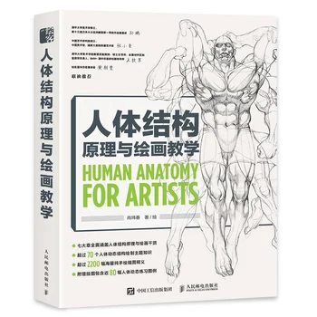 Inimese Anatoomia Kunstnike Inimese Keha Ülesehituse Põhimõte ja Maalimise Õpetamise Raamatu Anime Mäng Joonis Koopia Kunsti Kogumine Raamat